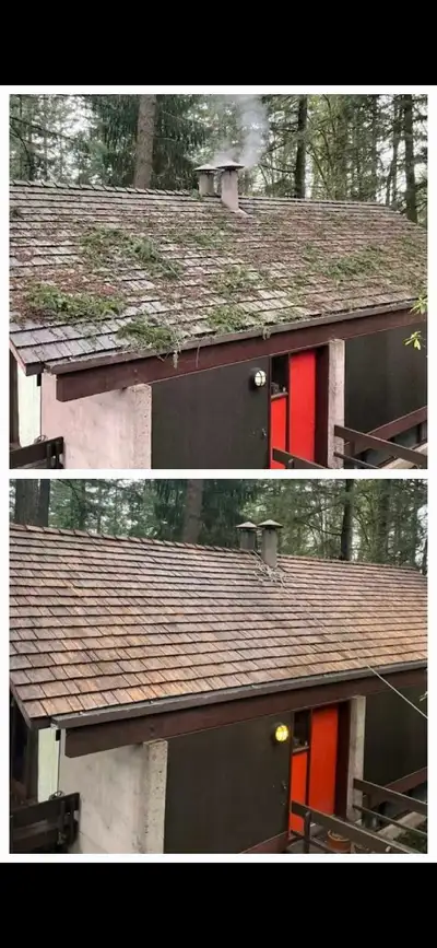 Roof cleaner/pressure washing , View more