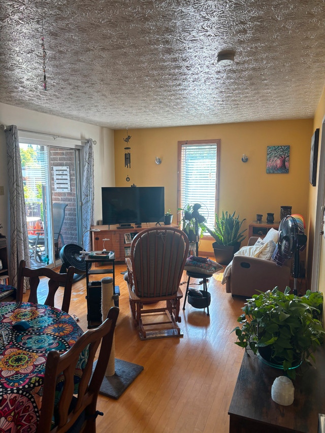 3 1/2 style LOFT ! dans Locations longue durée  à Sherbrooke