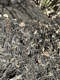 Black Mulch for Landscaping