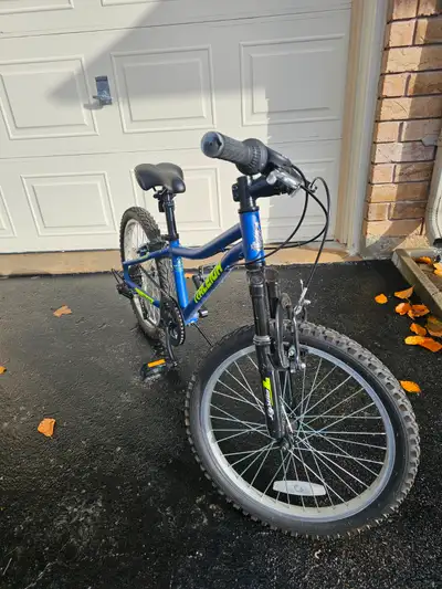 Youth bicycle: Raleigh Goat, View more
