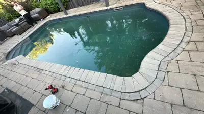 We sell all types of pool equipment, parts, and chemicals at the lowest price guaranteed. From pumps...