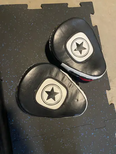 Fight Monkey Professional Series Leather Focus Mitts, View more