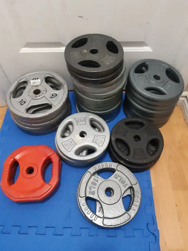 standard weight plates w/ handles ($1.45/lbs) in Exercise Equipment in Delta/Surrey/Langley - Image 5