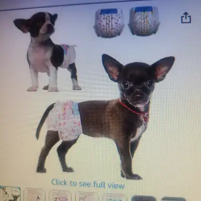 Full package, minus 2. Too small for my use. Retails $33.