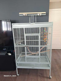 Grande cage à vendre 36x24 pour perroquet 