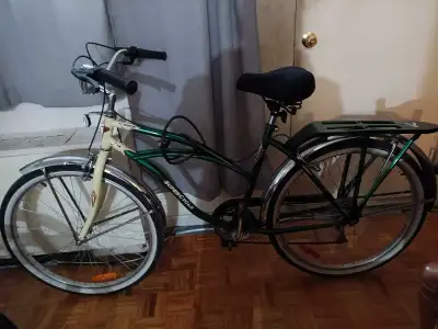 adult green and silver color bicycle for sale 170 negotiable, View more