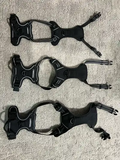 Rabbitgoo Dog Harness Set, View more