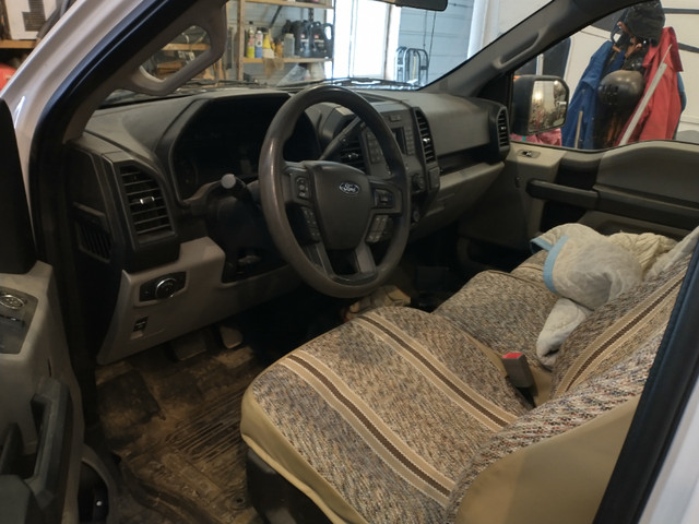 2019 F150, 2WD, Std Cab, Long Box in Cars & Trucks in Red Deer - Image 3