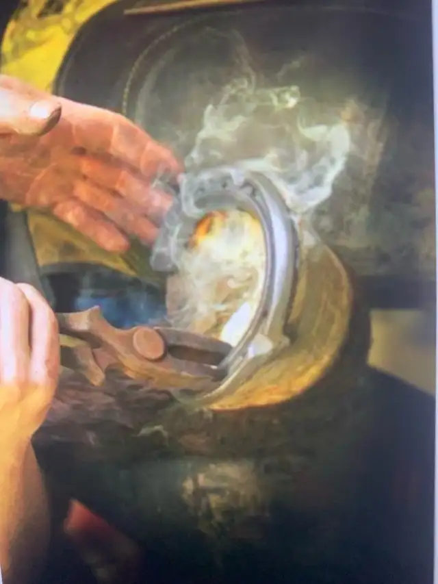 horse farrier trimming and shoeing  in Equestrian & Livestock Accessories in Ottawa - Image 9