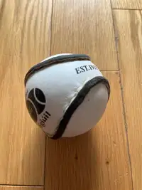 Sliotar (Hurley ball)