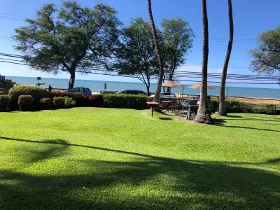 Maui in Jan 2026, View more