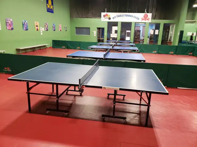 Double Fish 15mm Top Table 201