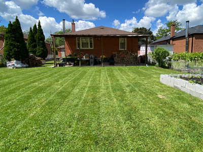 Grass Cutting & Lawn Maintenance - Vaughan & Surrounding Areas, View more