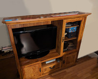 TV Wall Display and Storage Cabinet