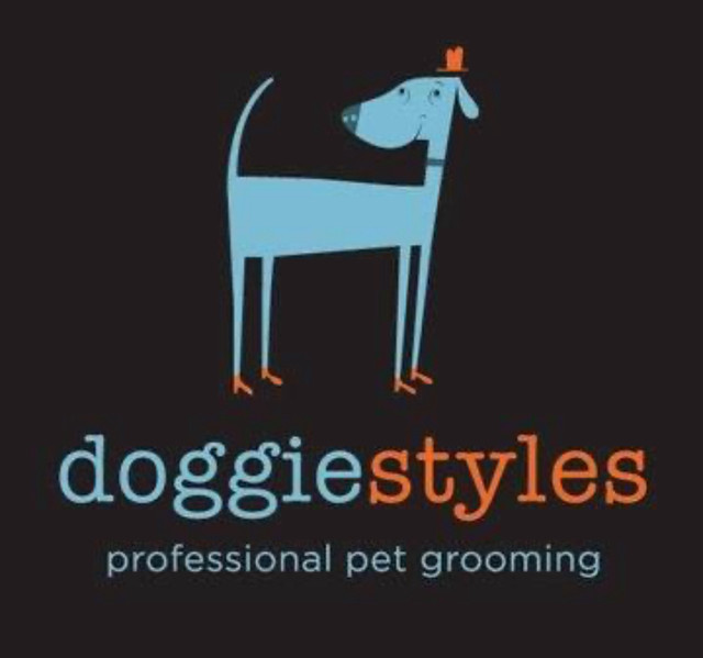 Dog Groomer Wanted in Other in Nelson