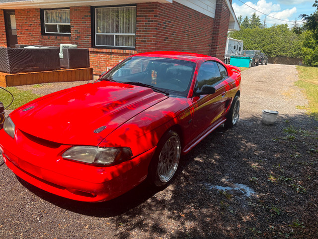 1995 ford mustang gt in Cars & Trucks in Oakville / Halton Region - Image 3