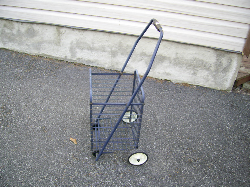 shopping cart Other Ottawa Kijiji