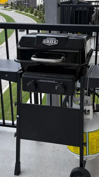 Expert Grill 2 Burner Propane Gas BBQ Grill, View more
