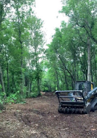Brush cutting and tree mulching services 