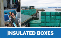 INSULATED BULK CONTAINERS, FISH CONTAINERS, FISH BOXES, ICE BINS