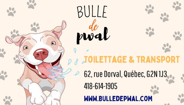 Transport animalier dans Services pour animaux  à Ville de Québec