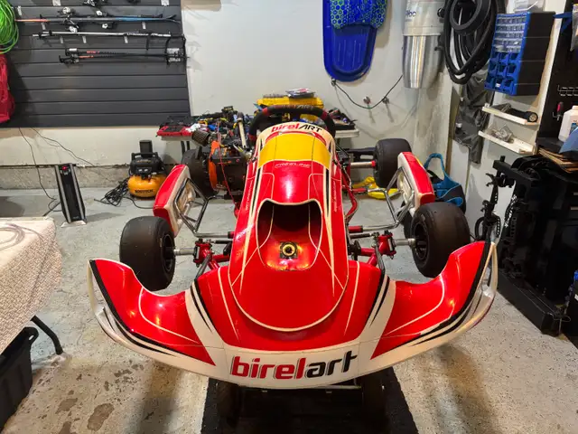 Birel ART AM29 S11 and 2 Briggs & Stratton Engines - Your in Other in City of Toronto - Image 2