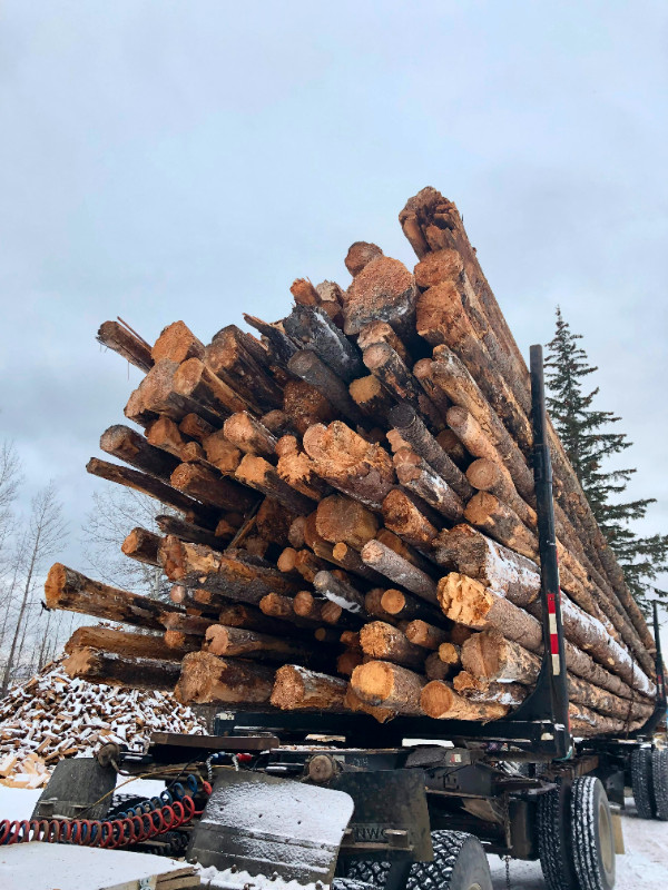 Log Truck Loads and Processed Firewood in Fireplace & Firewood in Edmonton - Image 3