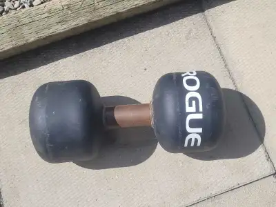 Rogue Monster Loadable Dumbbell, View more