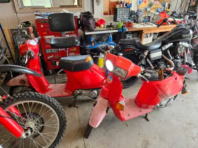 Selling a pair of Honda Spree 50cc scooter, a neat little ride for zipping around town! It features...
