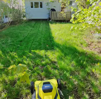 Lawn mowing from $50 Clean and professional work First clients discount Halifax, Dartmouth, Bedford...