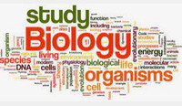 Tutor - Biology 30
