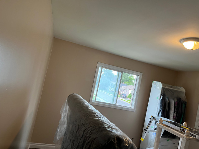 Affordable house painting  in Painters & Painting in Peterborough - Image 4