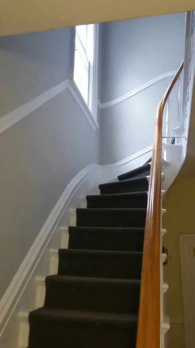 Troy the Painter65561283522946122