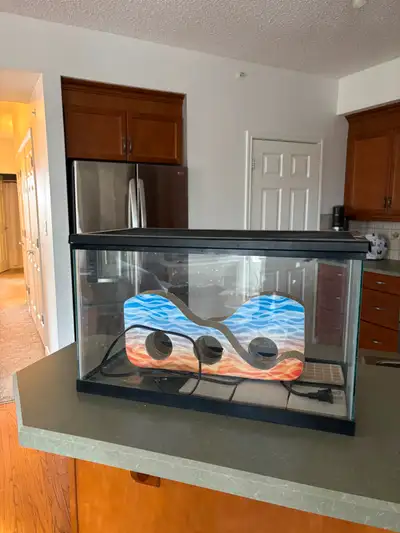 Medium Size Aquarium or Terrarium for Fish & Reptiles, View more