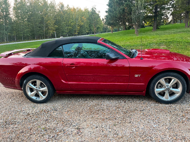 2008 ford mustang convertible gt in Cars & Trucks in St. Albert