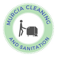 Cleaning  In Milton