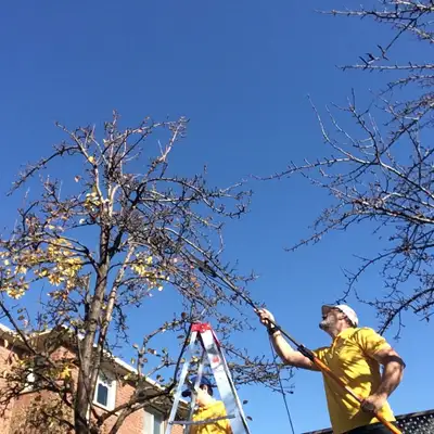 Hiring Arborist - Contract, View more