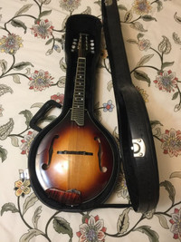 Mandolin Eastman MD 505-CS with Pick Up