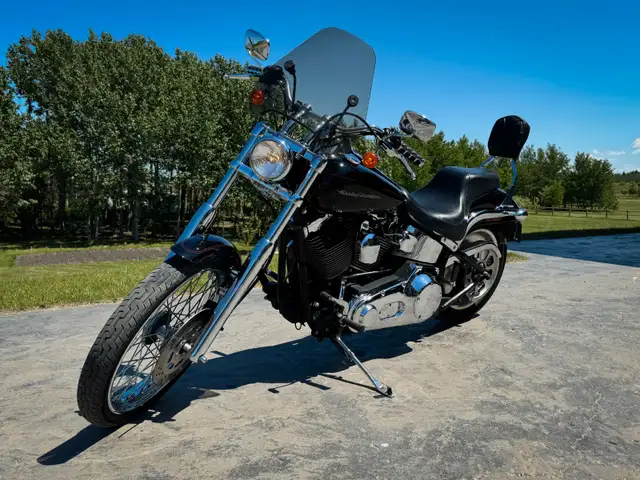 Love this Harley Deuce, even if you already have a bike. in Street, Cruisers & Choppers in Edmonton - Image 4