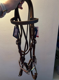 Weaver pony sized headstall, bit and reins