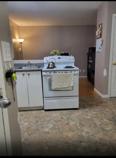 Clean and Smoke Free 1 bedroom Apt