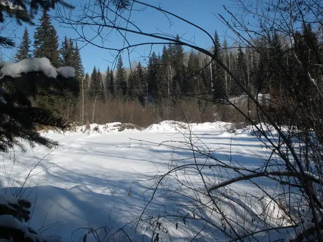10 Acre Wilderness homestead in Land for Sale in Kamloops - Image 18