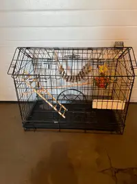 Hot deal cage 