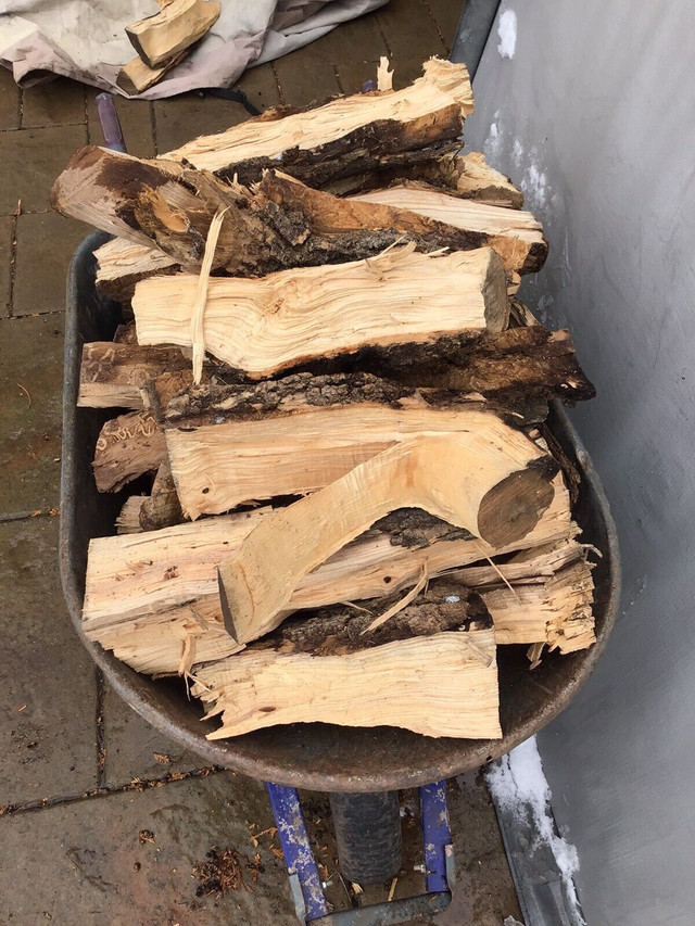 Seasoned Dry Alder  Firewood Heaping 6 cu.ft  wheelbarrow - $40 in Fireplace & Firewood in Oakville / Halton Region - Image 4
