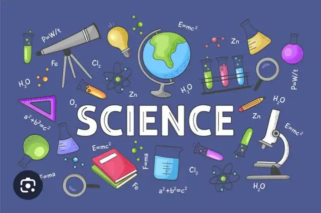 Grade 6–12 Science Tutor -417524190817832961
