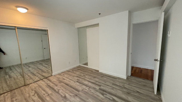 1 Bed 1 Bath Apartment in Long Term Rentals in Downtown-West End - Image 3