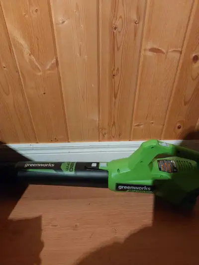 24v Greenworks Blower excellent condition TOOL ONLY NO battery or charger $40 CASH ONLY can deliver...