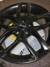 Black aluminum EVO 17" rims & Goodrich Baja Champion T/A tires