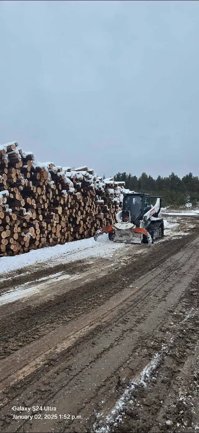 looking for timber - land clean up - mulching ect! 63882165435651124