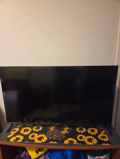 Brand New Philips 40" Roku TV 6500 Series with wall mount $140, View more